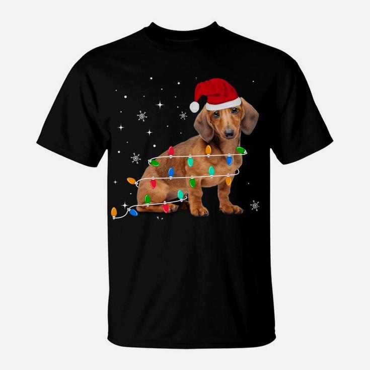 Funny Dachshund Christmas Light Gifts Xmas Sweatshirt T-Shirt