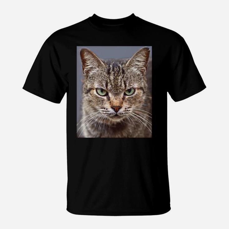 Funny Tabby Cat Chocolate Lovers Sweatshirt T-Shirt