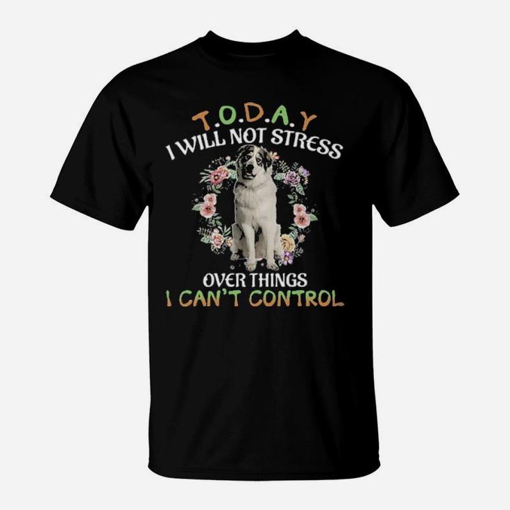 Great Pyrenees Today I Will Not Stress Over Things I Can't Control T-Shirt