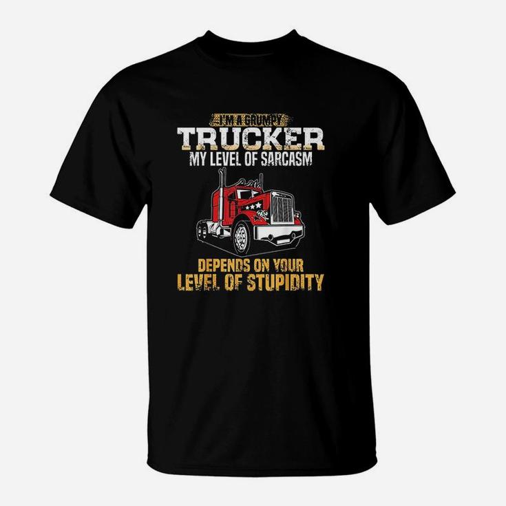 Im A Grumpy Trucker Funny Truck Driver Gifts Trucking Dads T-Shirt