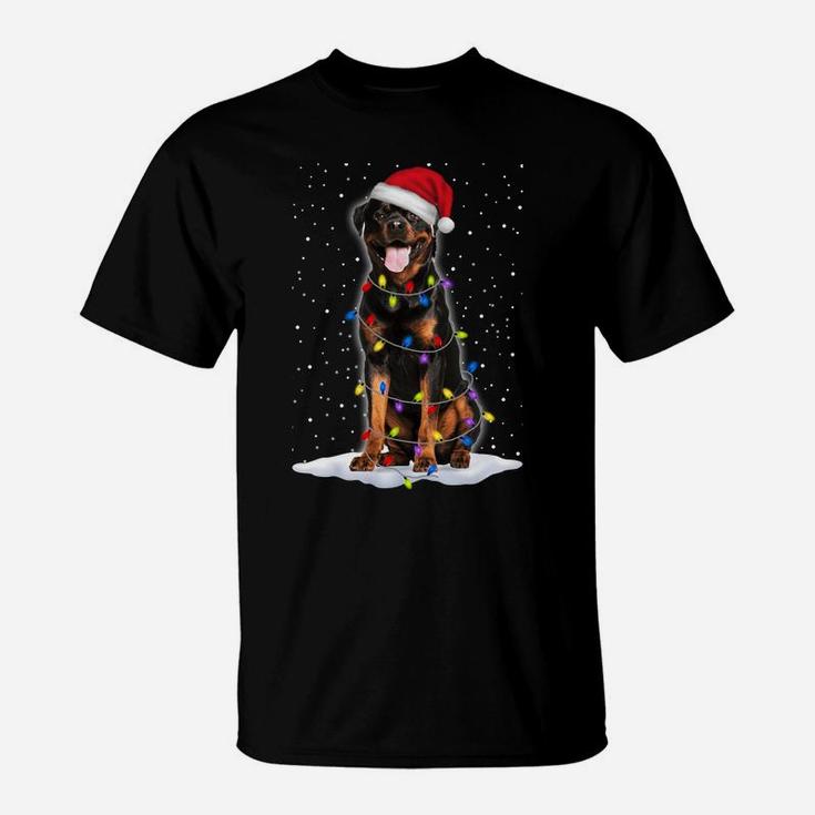 Rottweiler Santa Christmas Tree Lights Xmas Gifts Sweatshirt T-Shirt