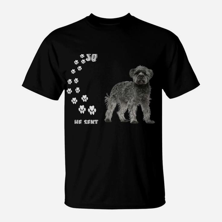 Schnauzer Poodle Dog Quote Mom Dad Costume, Cute Schnoodle T-Shirt
