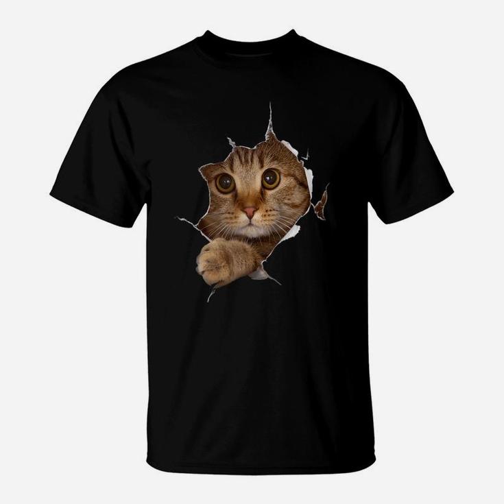 Sweet Kitten Torn Cloth - Funny Cat Lover Cat Owner Cat Lady Raglan Baseball Tee T-Shirt