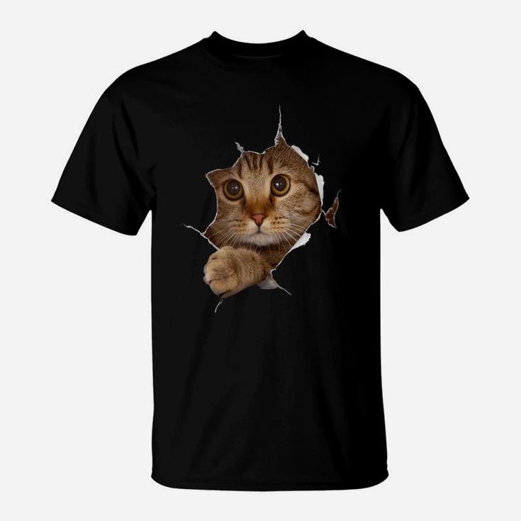 Sweet Kitten Torn Cloth - Funny Cat Lover Cat Owner Cat Lady T-Shirt