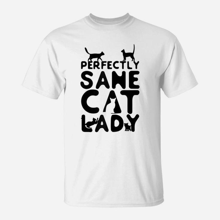 Cat Lovers Perfectly Sane Cat Lady Funny Feline Raglan Baseball Tee T-Shirt