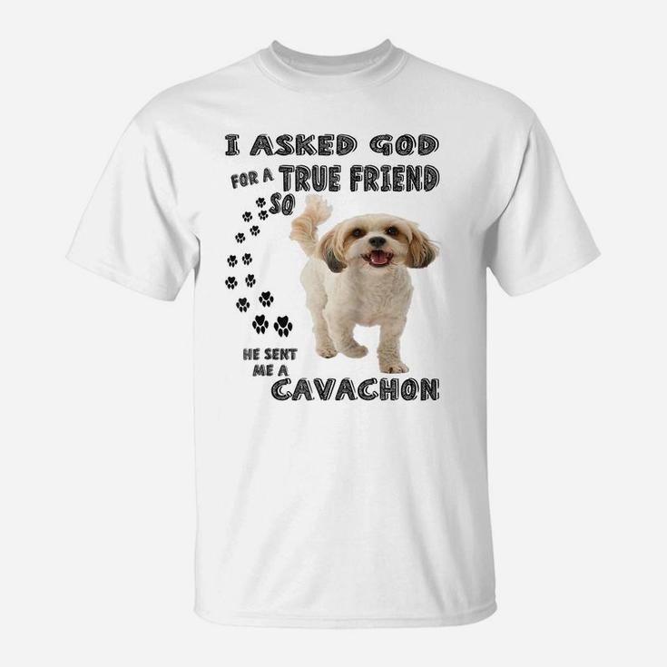 Cavachon Quote Mom, Cavashon Dad Print, Cavalier Bichon Dog Raglan Baseball Tee T-Shirt