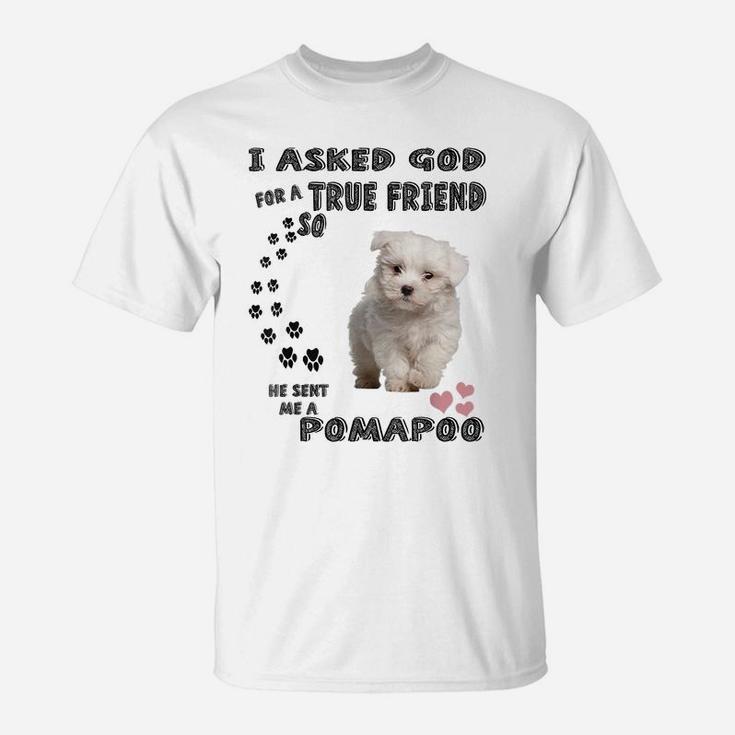 Pooranian Dog Mom, Pompoo Dad Pomeroodle Print, Cute Pomapoo T-Shirt