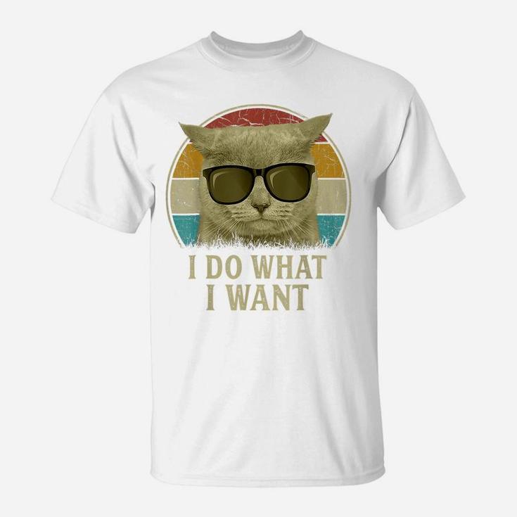 Retro 80S 90S Cat Lovers Funny I Do What I Want Cat T-Shirt