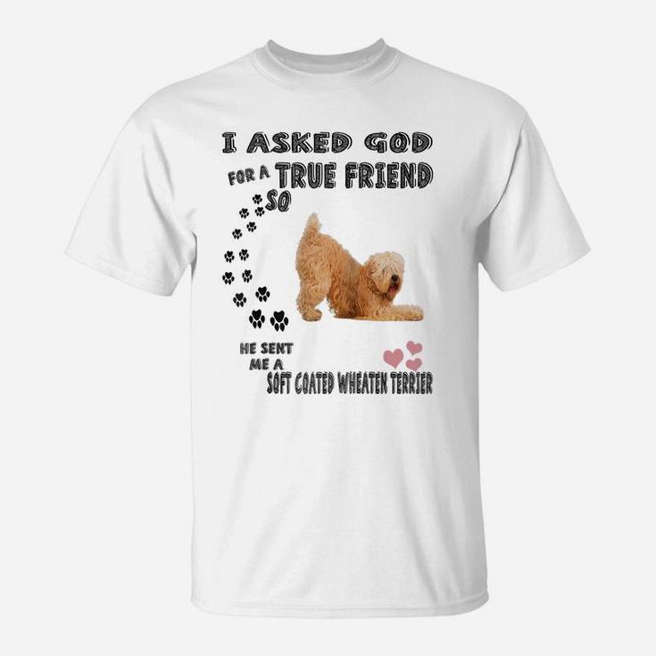 Soft Coated Wheaten Terrier Mom Dad Costume Cute Wheatie Dog Raglan Baseball Tee T-Shirt